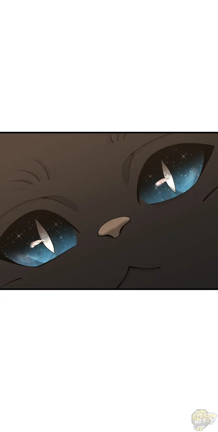 The Beginning After the End Chapter 121 image 57_optimized